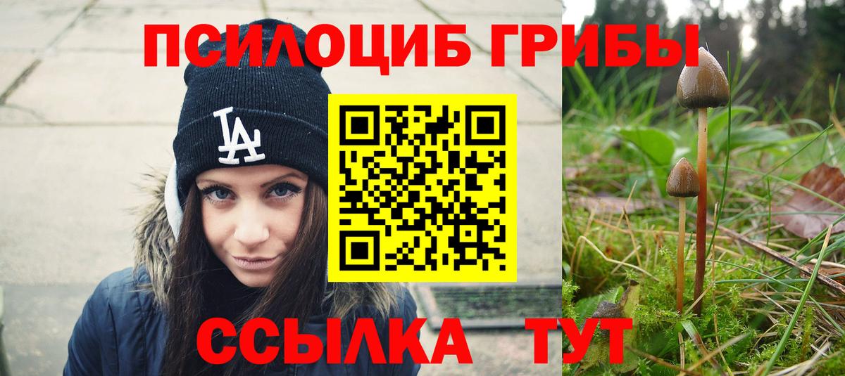 Галлюциногенные грибы мухоморы  купить наркотики цена  Ставрополь  Вход с VPN 